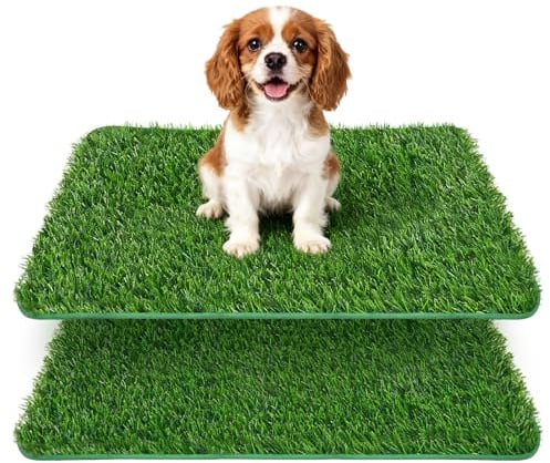YICH Lettiera per cani per la casa, 2 pezzi, 58,5 x 46 cm, in erba artificiale, per la casa, per il balcone, la toilette per cani, la toilette per il cucciolo di cane, per l'allenamento