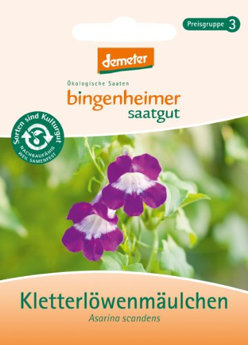 Kletterlöwenmäulchen