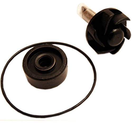one 50CC Pump Revision Kit Variant (cod 77093621 Kit de revisión de la Bomba de Agua Compatible con Motores Yamaha skyliner/Majesty 125-150-180cc)