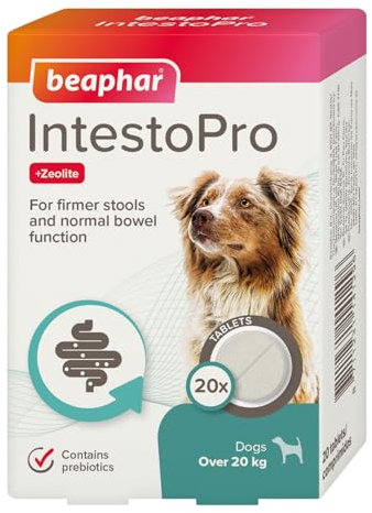 Beaphar – IntestoPro Prebiotic Stool Firming Tablets for Medium and Large Dogs (>20kg) – Aids digestive upsets and diarrhoea - Natural Active Ingredients – Supports Healthy Gut Function – 20 Tablets