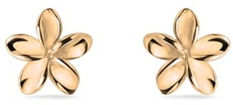 PERIMADE Vergoldete winzige Blumen-Ohrstecker für Frauen, hypoallergenes 925er Sterlingsilber, kleine Ohrstecker, zierliche Mini-Blumenohrringe, Geburtstag, Valentinstag, Geschenk für Mutter und Frau