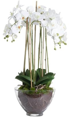 Artificial White Orchid in Glass Bowl, 88 cm Height, Large Decorative Plant