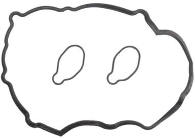 Reinz 15-53999-01 Dichtungssatz, Zylinderkopfhaube