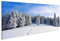 islandburner Bild auf Leinwand Winterlandschaft mit schönen Bäumen unter dem Schnee Bilder Wandbilder Poster
