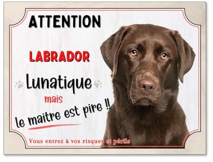 Plaque attention labrador lunatique, panneau humour labrador monte la garde, attention au chien, pancarte labrador humour personnalisable, modèle 2