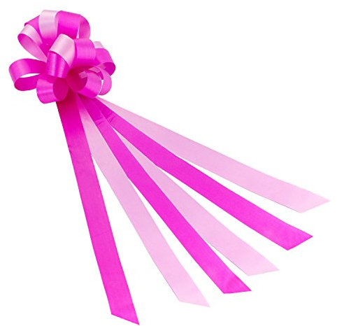 Oblique Unique® Geschenk Schleife Groß mit Geschenkband Deko Band für Geschenke und Zuckertüten - wählbar (Rosa Pink)