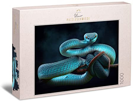 Ulmer Puzzleschmiede - Puzzle „Schlangentraum“ - Klassisches 1000 Teile Puzzle – Mysthisches Tierfoto mit aufregendem Schlangen-Motiv - die Blaue Viper ist EIN Puzzle für fortgeschrittene Puzzler