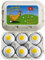 Lustiges Golfgeschenk/Ostergeschenk Frühstück für Golfer 6 witzige Golfbälle in der Eierverpackung
