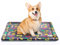 ALLISANDRO Hundematte Hundedecke Waschbar Matte 80x60cm 100x70cm 120x80cm Hygienisch und rutschfest Eckig Bones Weiche Hundebette mit kuscheligem Plüsch für Hunde & Katzen Mehrfarbig