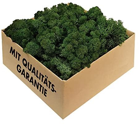 GJS Islandmoos - konserviertes Moos in 200g/500g/1kg/4kg für Moosbilder, als Deko oder zum Basteln (dunkelgrün, 200g)