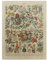 Bilderwelten Holzbild - Vintage Lehrtafel Blumen II 40 x 30cm