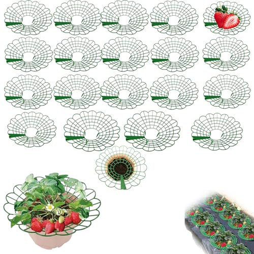 Erdbeeren Schutz Vögel,erdbeeren Schutz,erdbeerreifer,unterstützung Für Erdbeerpflanzen,schneckenkragen 20 Stück,erdbeerstützen,erdbeer-pflanzenschutz,schneckenschutz,erdbeerturm,erdbeerständer-20pcs