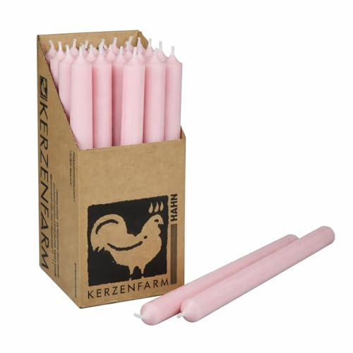 Extra lange Stabkerzen durchgefärbt 25cm (250x22mm) | RAL Tafelkerzen mit 12h+ Brenndauer | Ohne Tropfen & Rußen | Leuchterkerzen für Deko | Made in Germany (5, Pastellrosa)