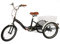 gegeweeret Kreuzfahrt-Dreiräder für Freizeit, 20 Zoll Dreirad, Fahrrad mit Einkaufskorb, Höhenverstellbar, Tragfähigkeit und eine Lange Nutzungsdaue, Maximale Belastung 110kg/242.5 lbs
