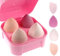 ZHIYE Makeup Sponge, 4 PCS Beauty Makeup Blending Sponges Puff Blender Foundation Sponges Concealer Sponge Applicator