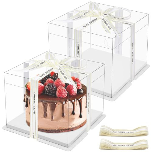 Druuzyl 2 Pezzi Scatola Torta Trasparente 24x24x18cm - Doppio Strato con Base e Nastro, Regalo Plastica per Dolci da Forno, Coperchio Ermetico per Trasporto Torte