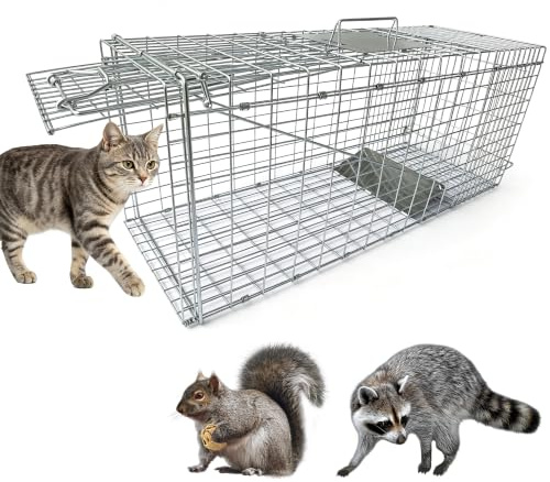 31 Live Animal Trap Cage, Heavy Duty Folding Humane Live Animal Cage Trap for Stray Cats, Raccoons, Squirrels, Rabbits, Opossums, Groundhogs, Armadillos up to 8Kg - 79cm L x 28cm W x 33cm H