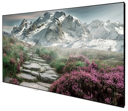 DELUXX Cinema Rahmenleinwand SlimFrame 265 x 149cm, 120 - SOUNDVISION