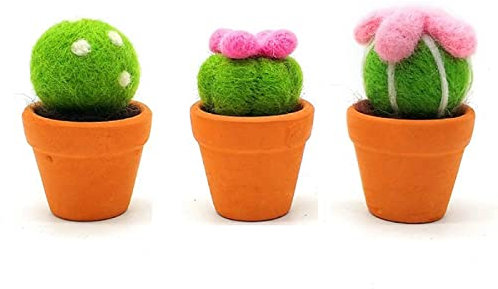 3 Stücke Kaktus Filzset Filzwolle Set für Anfänger Geschenk für Mama, Oma 6x3cm