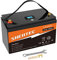 Shentec LiFePO4 Akku, 12V 100Ah Lithium Deep Cycle Batterie mit LED Anzeige, Eingebautes 100A BMS, für Backup Strom, Camping, Wohnmobil, Golfwagen, Boot, Off-Grid und Energiespeicherung zu Hause