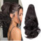 Gairyan 25cm Pferdeschwanz Haarteil Zopf Extensions Lang Lockige Claw Clip in Ponytail Extensions Synthetik Haare Extensions Gewellt Haarteil Haarverlängerung (Mittel braun)