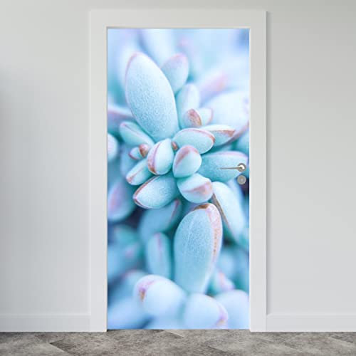 Estika Türtapete selbstklebend - Blaue Sukkulenten - 95x205 cm - Einem Bogen Türposter, Modern Türaufkleber, Aufkleber PVC Folie, Klebefolie für türen, Tür tattoo, Modern decoration