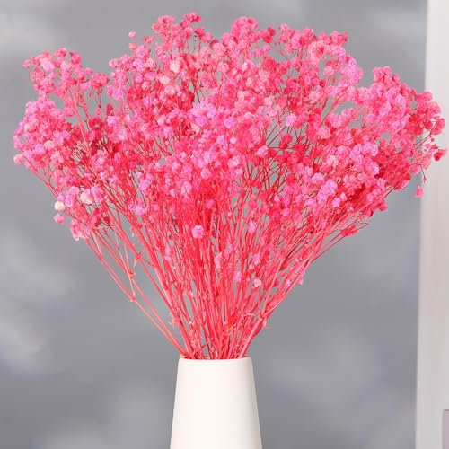 Getrocknetes Schleierkraut-Blumenstrauß - 2000+ Rosafarbene Trockenblumen, 43 cm natürliche Gypsophila-Zweige für Hochzeit, Tischvasendekor, DIY-Kranzfloristik, Heim-, Büro-, Party- und Gartendekor