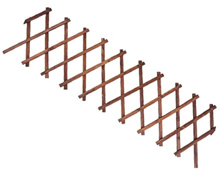 Treillis De Jardin Extensible en Osier pour Plantes Grimpantes Support Clôture