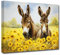 LZIMU Esel Wandbild lustiger Esel mit Sonnenblume Leinwanddrucke Bauernhof Tierbilder Wanddekoration für Bauernhaus rustikale Dekoration (C, 40.00 x 60.00 cms)