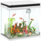 PawHut 26L Acquario in Vetro per Pesci Rossi con Pompa d'Acqua e Filtro, Acquario Completo con Illuminazione LED, Vaschetta per Pesci Acqua Tropicali, 38x26x38cm, Bianco
