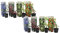 Plant in a Box - Mélange pour smoothies 8 - Baie de Goji, Myrtille, Canneberge, Baie de Kiwi - Arbres fruitier rustique - Pot 9cm - Hauteur 25-40cm