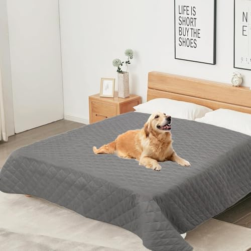 beueyfr wasserdichte Hundedecke für Sofa & Bett (137x208cm) Waschbarer Möbelschutz, rutschfeste Haustierdecke, Weiche Gesteppte Schondecke für Hunde & Katzen (Grau) | Waschbar, weich, wendbar