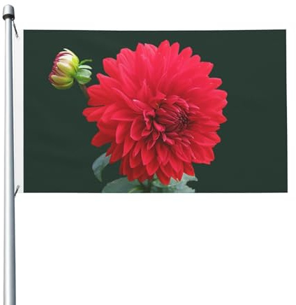 Drapeau de jardin à œillets Dahlia rouge, décoration extérieure pour cour, terrasse et maison, 152 cm x 91 cm