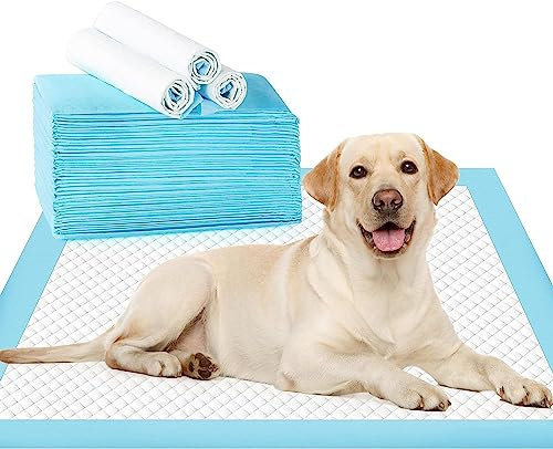 DAVEMED Puppy Pee Pads Extra Groß 61 x 91,4 cm, Indoor Töpfchen Pads für Hunde, Katzen und Kaninchen, Einweg-Haustier-Training und Piddle Pads, super saugfähig und auslaufsicher (40 Stück)