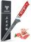 SANMUZUO Coltello filetto 18 cm, Professionale Coltello da Disossare Giapponese Acciaio Damasco Coltello da Cucina Impugnatura Resina - Xuan Series(Rosso Tramonto)