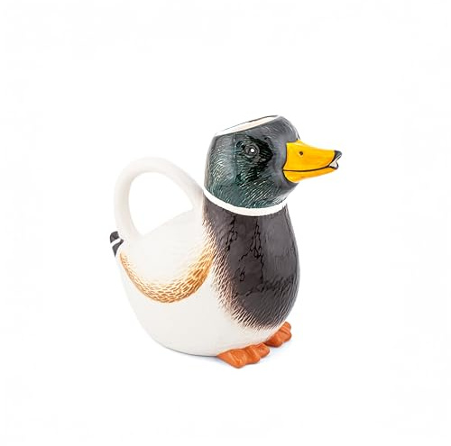 Sass & Belle Arrosoir canard colvert - Accessoires pour plantes d'intérieur, décoration de jardin, cadeau fantaisie pour les amateurs de plantes, petite décoration d'intérieur insolite, conçu par Sass