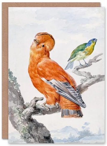 Artery8 Aert Schouman Art Card Two Exotic Birds Watercolour Painting