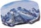 Uqezagpa Ski Goggle Protective Covers Cartoon Animals Ski Goggle Covers Goggle Protections Covers Protects Against Scratches