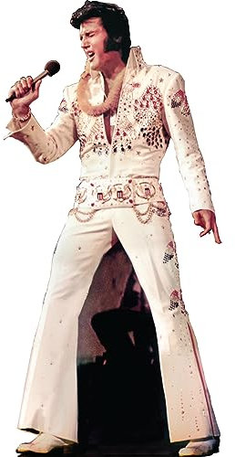 SC2331 Elvis Hawaii Pappaufsteller Aufsteller