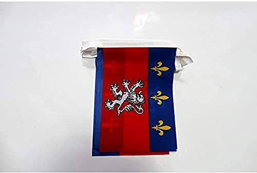 AZ FLAG - Guirlande Drapeau Province du Lyonnais - 6 Mètres Avec 20 Fanions De Lyon De 21x14 cm - Petits Drapeaux 100% Polyester - 60g