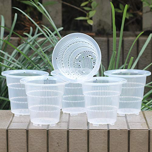 Meshpot 10 cm Transparent Plastique Pot à orchidée avec Trous - 6 Pièces