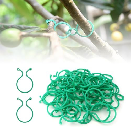 Gesicherter Pflanzen Clip, 2024 Neuest pflanzenclips 100/200 pcs, Pflanzenklammern klein zur Rankhilfe und Befestigung von Pflanzen, Praktischer Pflanzenstützclip für Tomate Gurken (100, grün-klein)