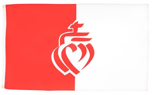 AZ FLAG 2 Stück Flagge Departement Vendée – 150 x 90 cm – Flagge Herz Vendéen 100% Polyester mit integrierten Metallösen