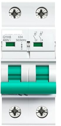 Interrupteur principal bipolaire sur rail DIN, sectionneur de fonction, disjoncteur 400 VCA DP GYH8(63A)