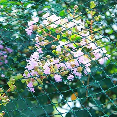 Teichnetz Vogelschutznetz ca. 18g/m² Laubnetz Gartennetz Pflanzenschutznetz Maschenweite 30x30mm (8x25 m)