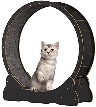 GLJTUO Katzen-Laufrad Für Hauskatzen, Katzenlaufband/Katzenlaufrad Aus Holz, Katzenlaufrad Ohne Lücke Mit Sicherheitsverriegelung, Einfache Montage,M