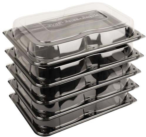 delisupplies 5 x Ultimate Large Sandwich Platter with Lid, Unique Press Stud Secure Closing, Rectangle Food, Cake, Tray Set Black Base Clear Lid Serving Platters for Buffet, Catering, 460 x 310mm