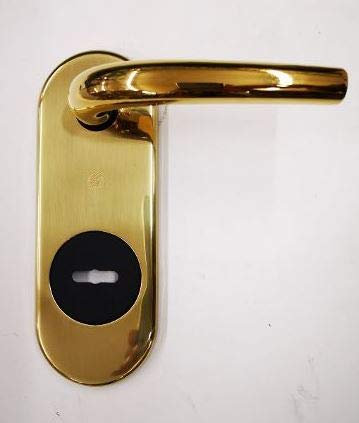KIT RIVA SECUREMME PLACCA+MANIGLIA IN OTTONE LUCIDO SINGOLA PER PORTA BLINDATA Q8 FORO DOPPIA MAPPA PZ 1