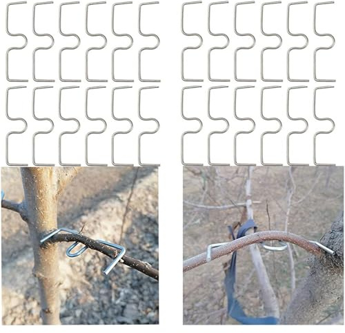 Obstbaum-Abzieher & Bindemaschine - Astbiegewerkzeug mit Offenem Winkel-Wachstum, Aststütze für Obstbäume (Typ M 10cm) - Pflanzenstütze Pflanzenhalter zur Optimierung des Ast-24 Stück pro Packung
