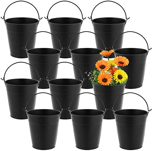 MUKLEI Lot de 12 Petits seaux en métal galvanisé de 10 cm - Noir - Seau à Fleurs à Suspendre avec poignée - Mini Pots à Plantes Grasses en métal à Suspendre pour Petites Plantes